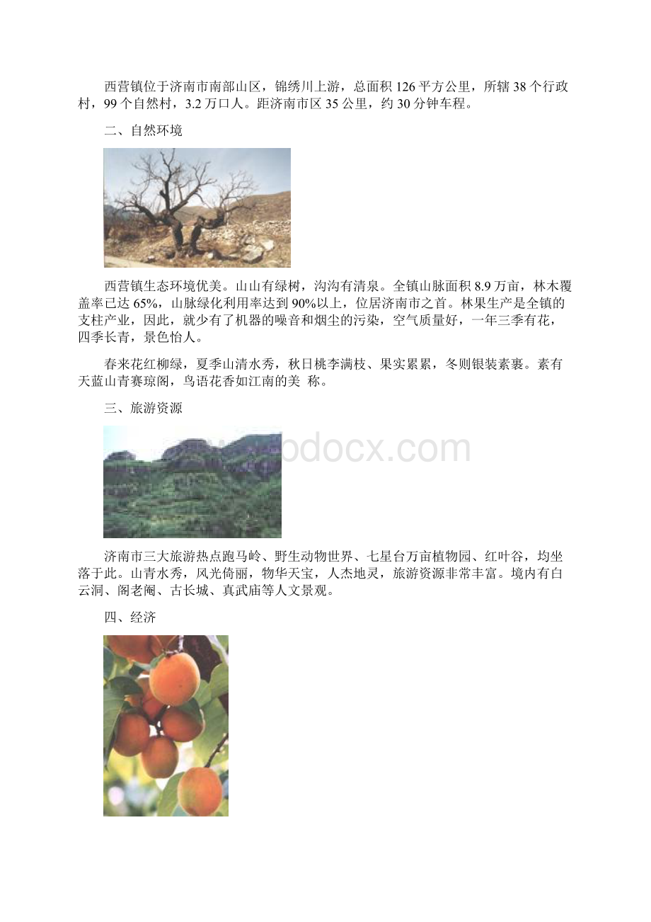 济南市西营镇某待建地块规划报告.docx_第2页