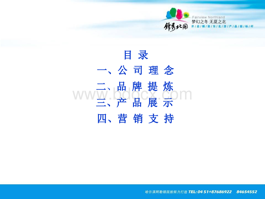 东北游品牌策划经典实例.ppt_第2页