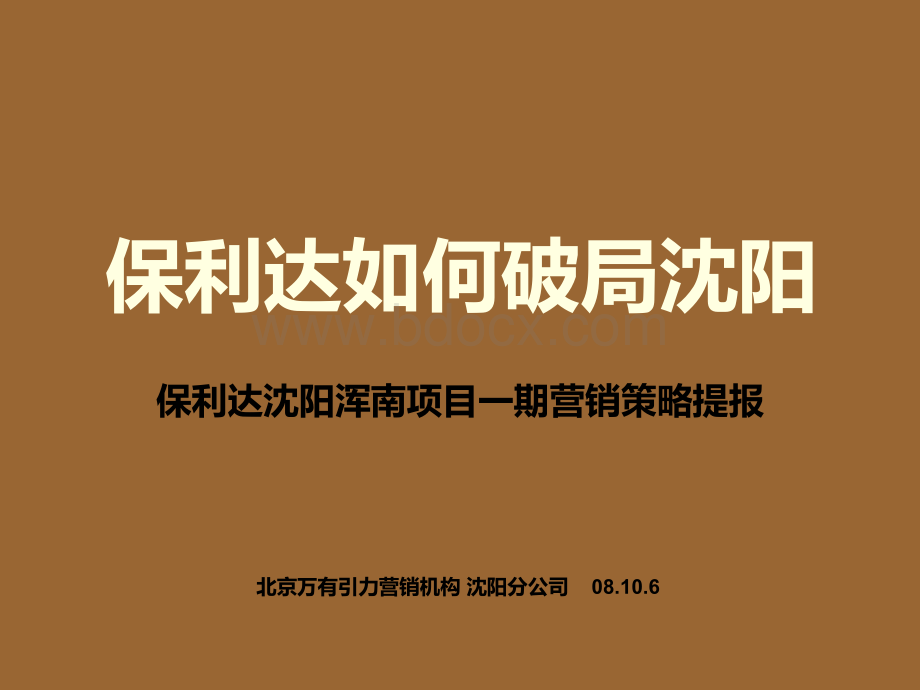 保利达营销报告优质PPT.ppt_第1页