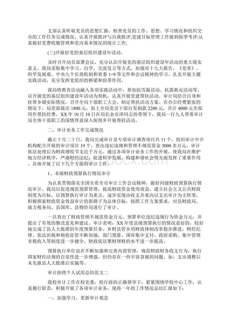 审计助理个人试用总结.docx_第2页