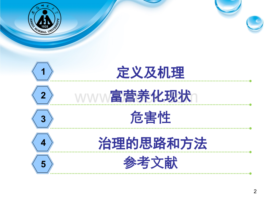 湖泊水体富营养化及其防治对策研究PPT文件格式下载.ppt_第2页