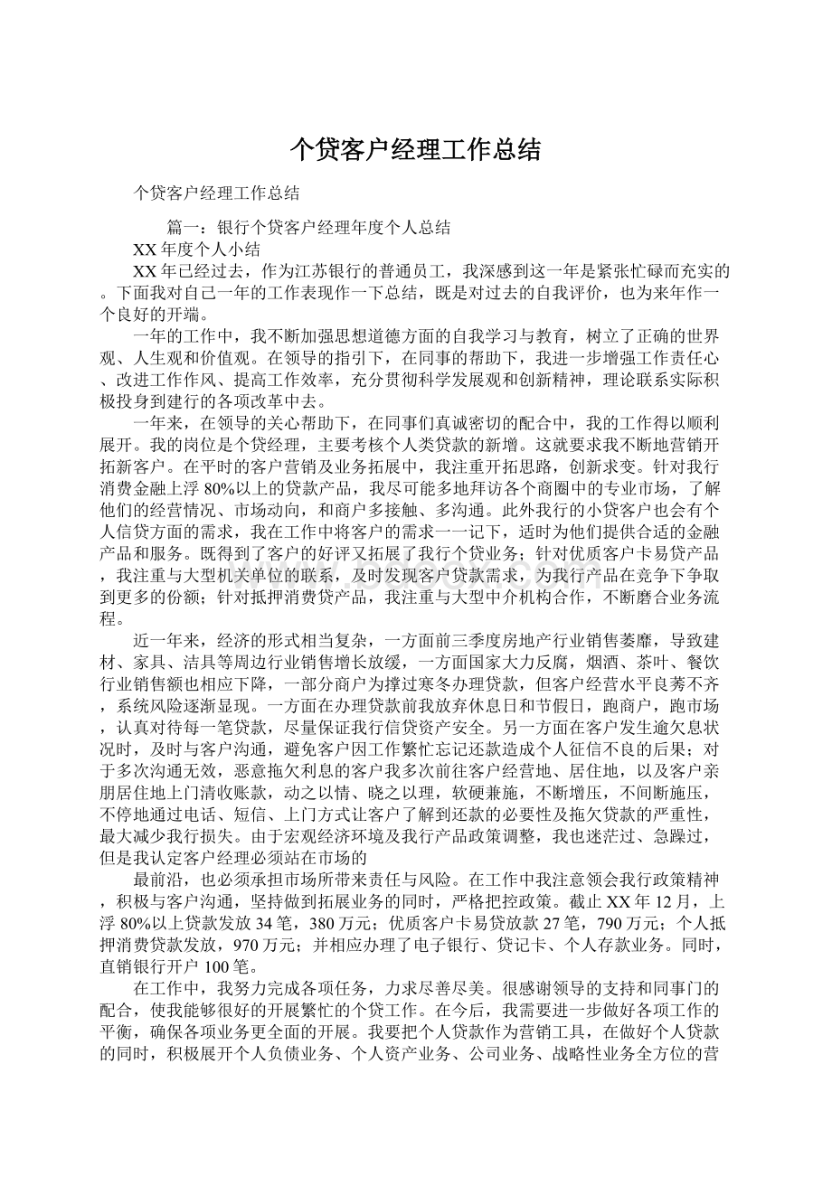 个贷客户经理工作总结文档格式.docx_第1页