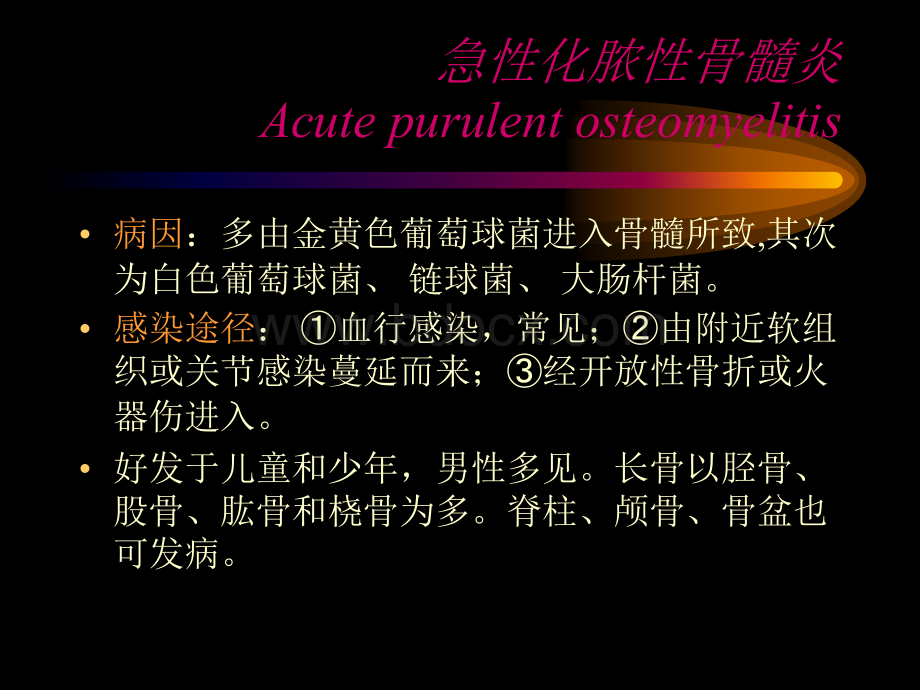 骨感染_精品文档PPT文档格式.ppt_第3页