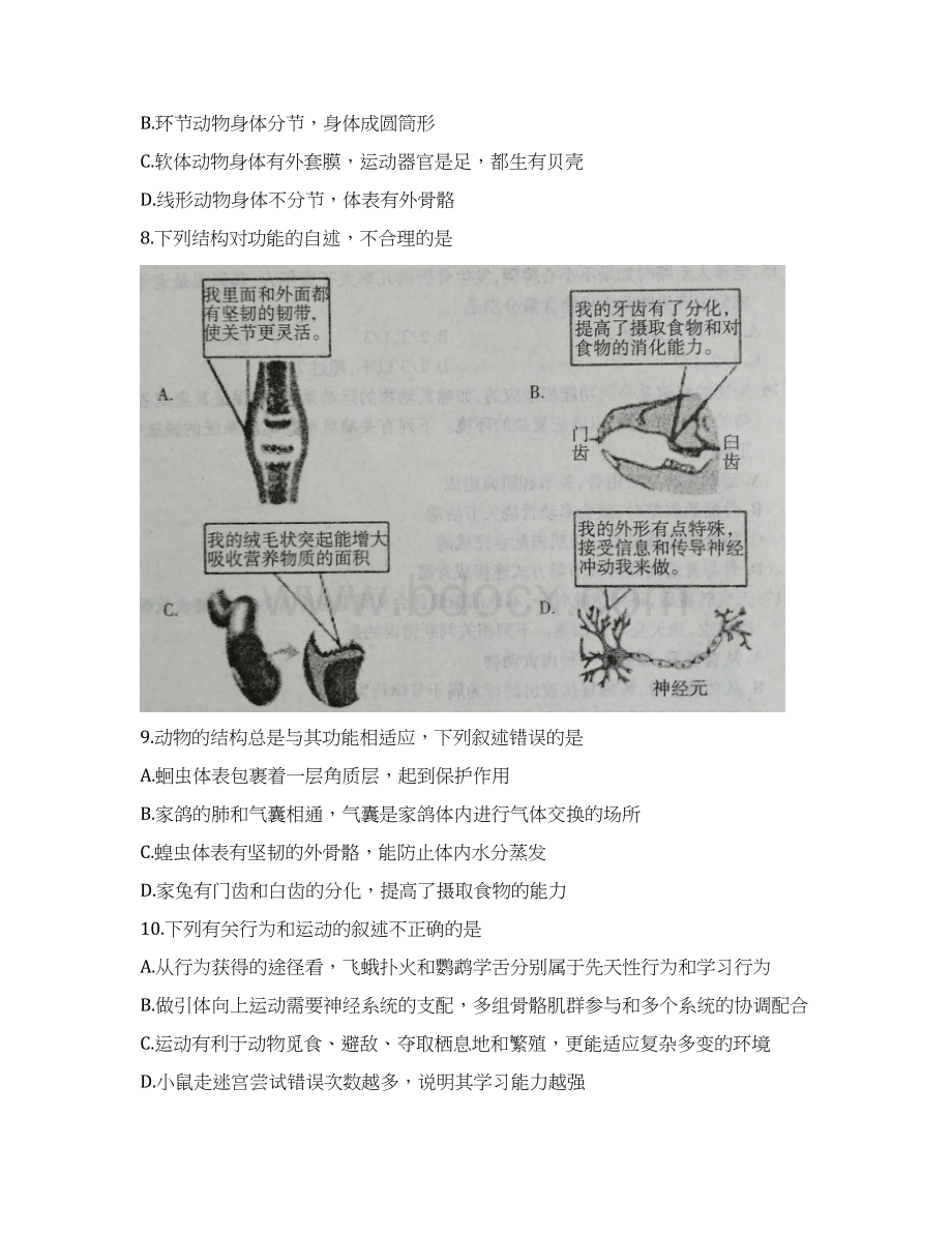 招远市学年第一学期期中考试初三生物试题及答案.docx_第3页