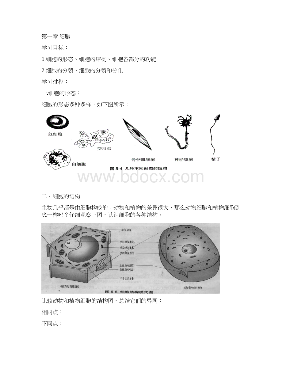 初高中生物衔接教材最新精品Word下载.docx_第2页