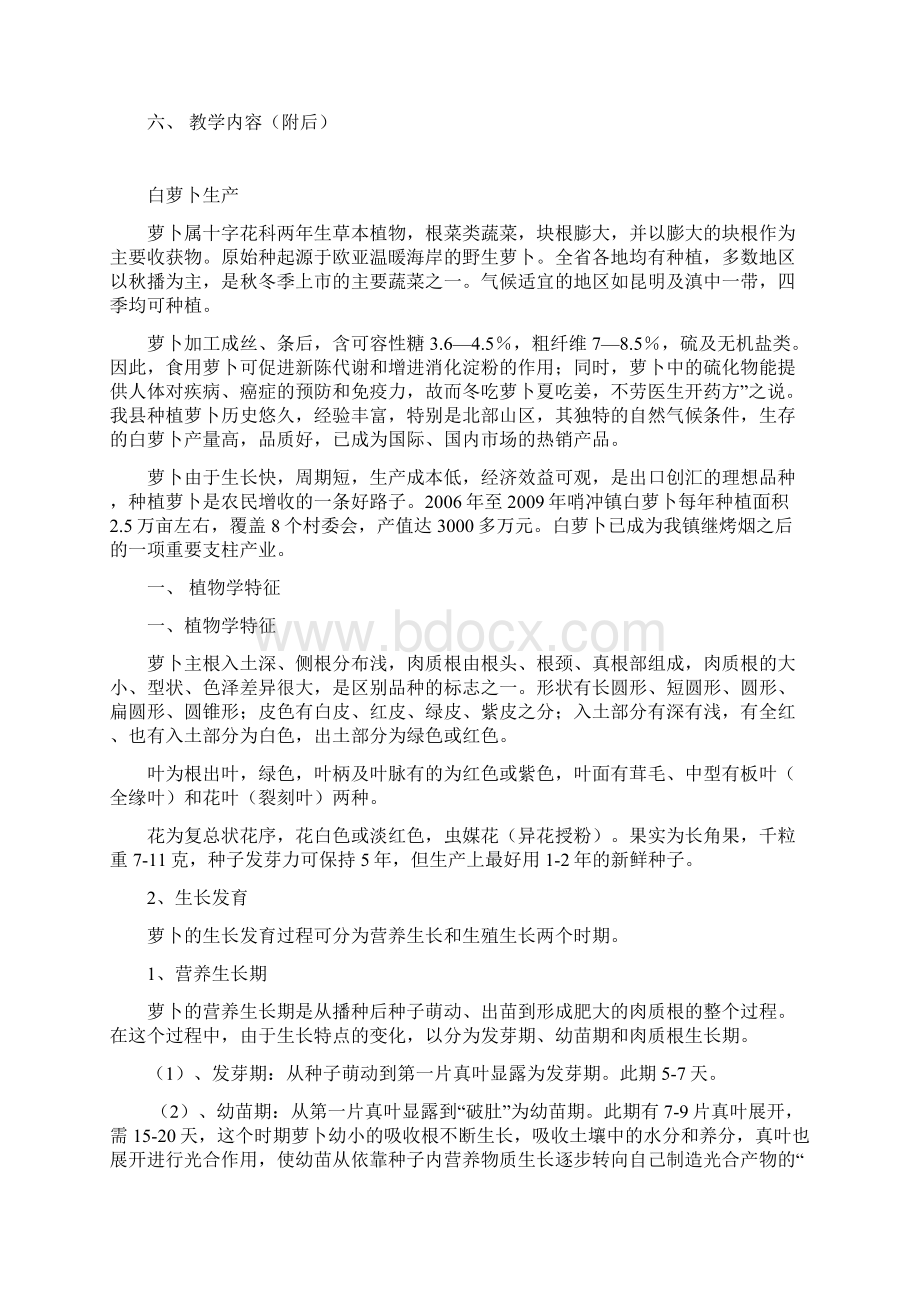 白萝卜高产栽培技术Word文档下载推荐.docx_第2页