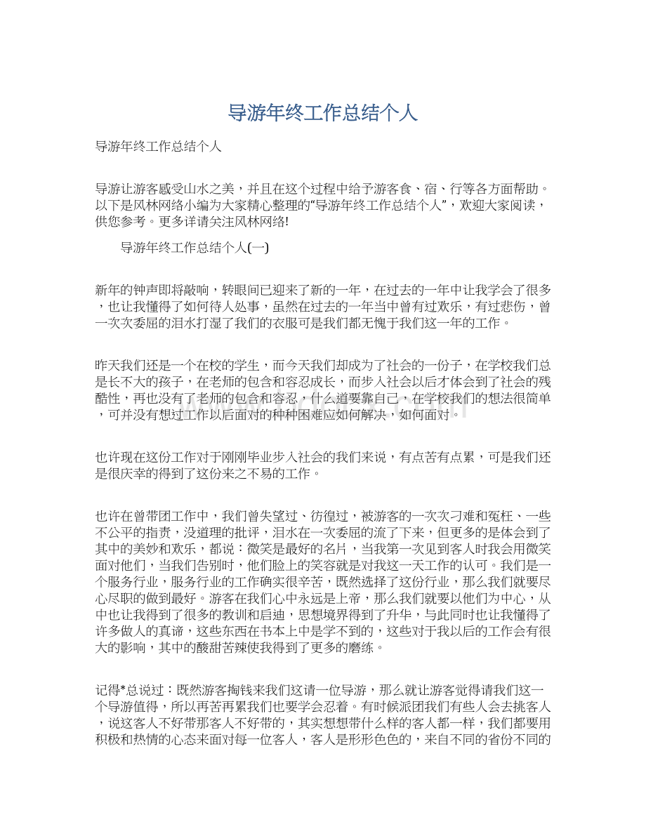 导游年终工作总结个人文档格式.docx