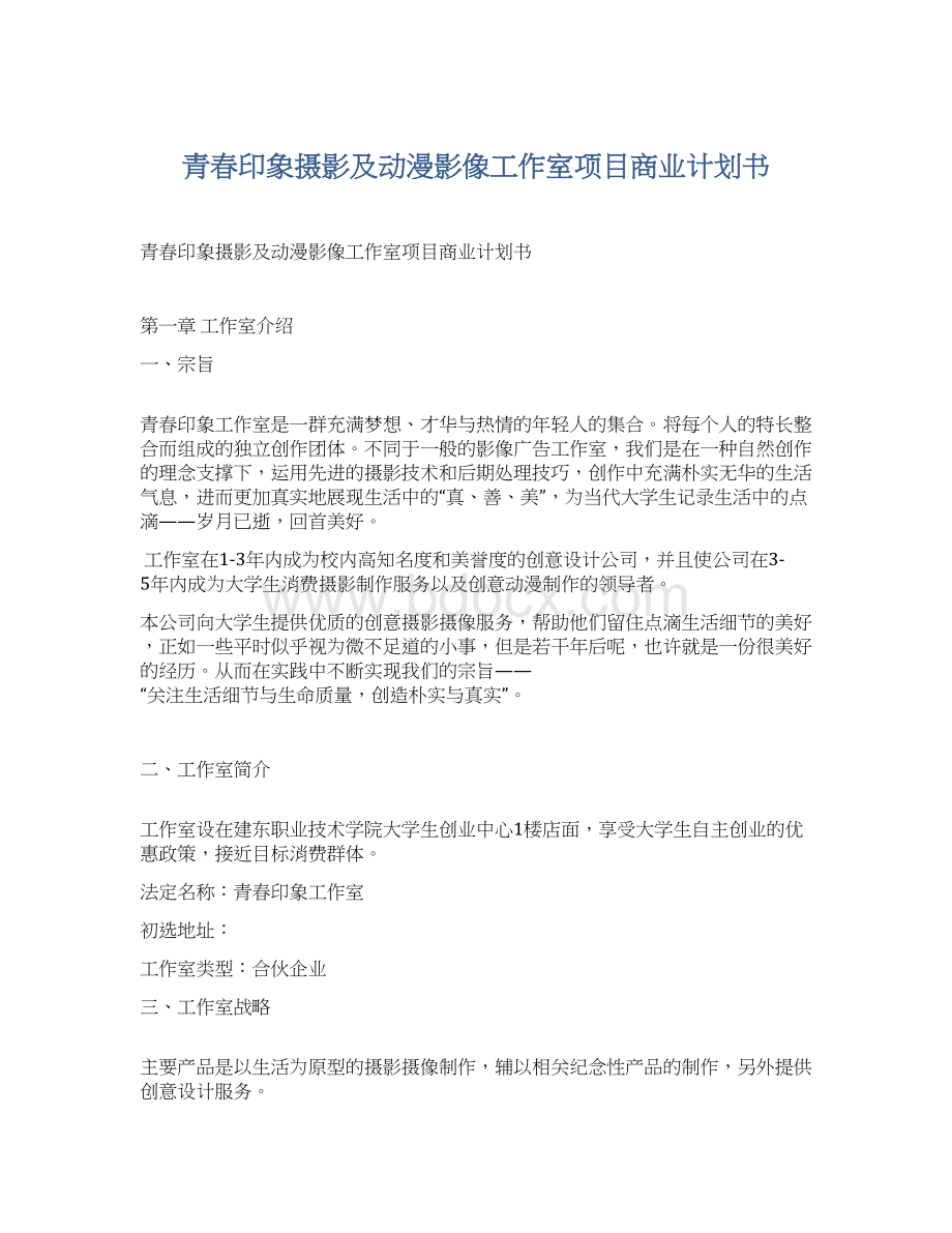 青春印象摄影及动漫影像工作室项目商业计划书Word格式.docx