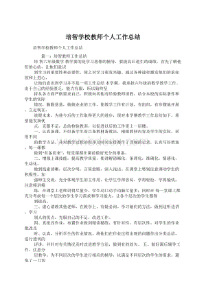 培智学校教师个人工作总结.docx