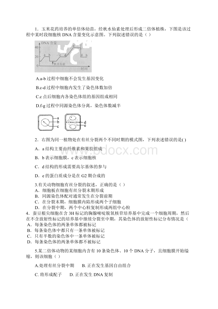 有丝分裂与减数分裂专题练习附答案Word下载.docx_第3页