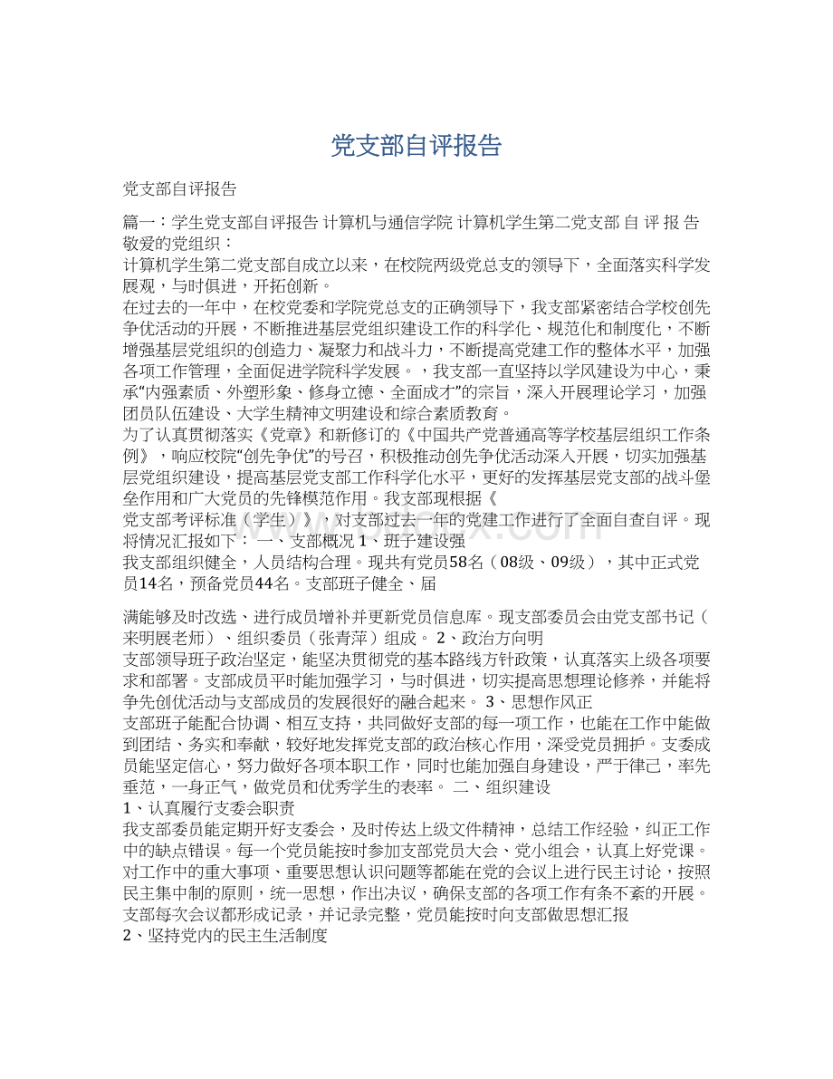 党支部自评报告.docx_第1页