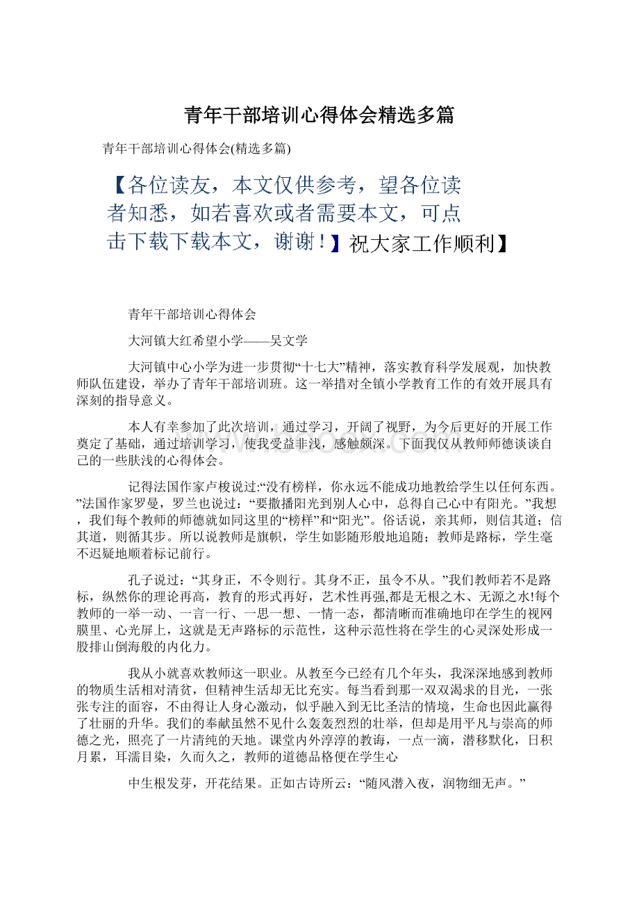 青年干部培训心得体会精选多篇文档格式.docx