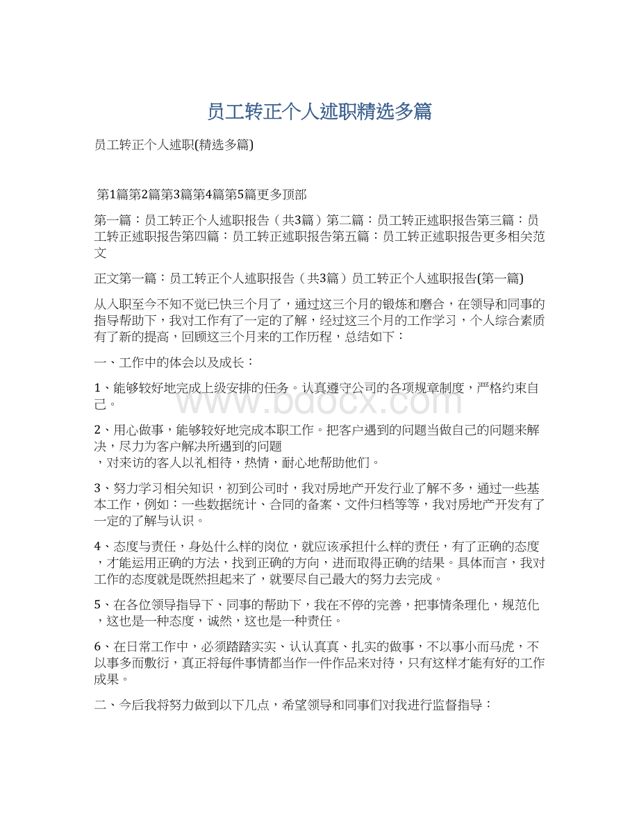 员工转正个人述职精选多篇文档格式.docx