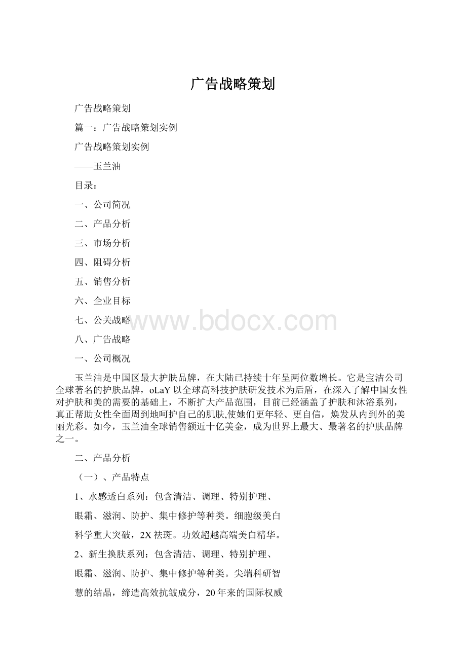 广告战略策划Word格式文档下载.docx