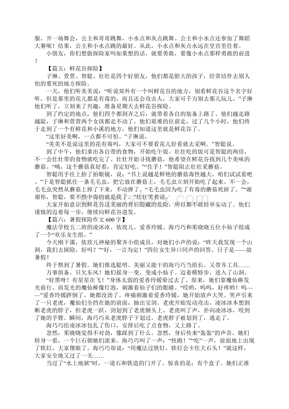 关于探险的作文600字Word文档格式.docx_第3页