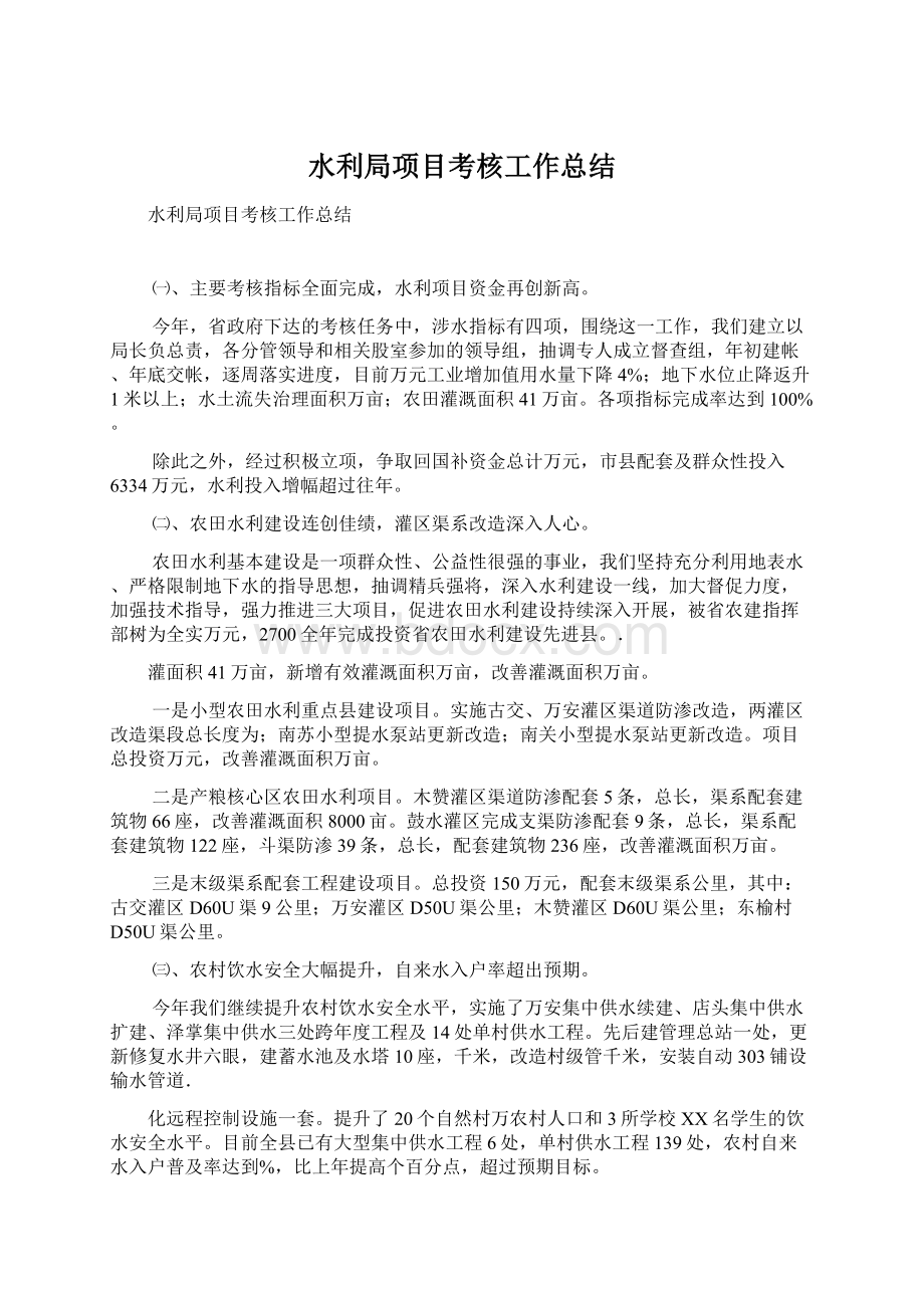 水利局项目考核工作总结文档格式.docx