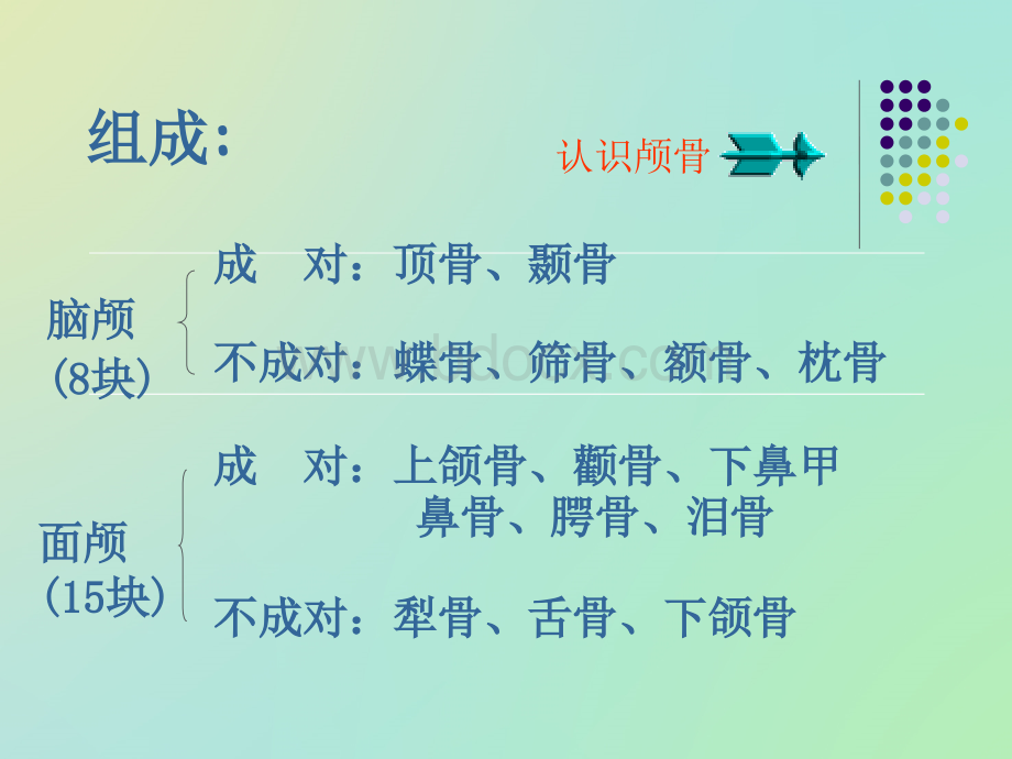 颅骨ppt_精品文档PPT资料.ppt_第2页