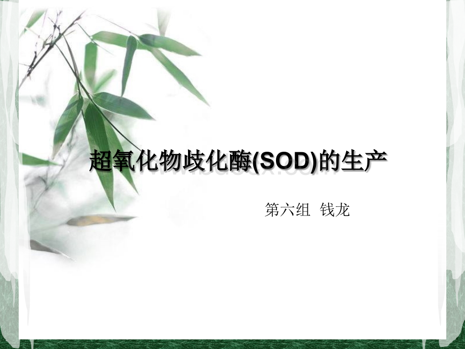 超氧化物歧化酶PPT格式课件下载.ppt_第1页