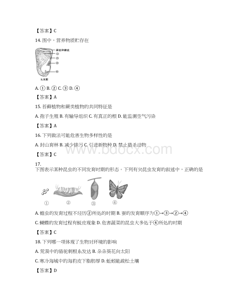 人教版九年级生物下学期大联考试题.docx_第3页