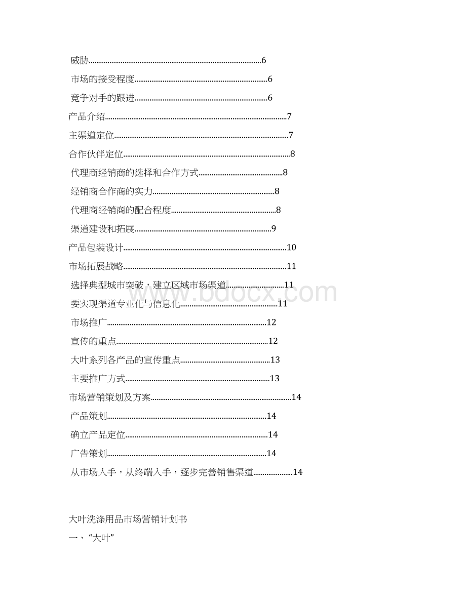 洗涤用品市场营销策划书Word格式.docx_第2页