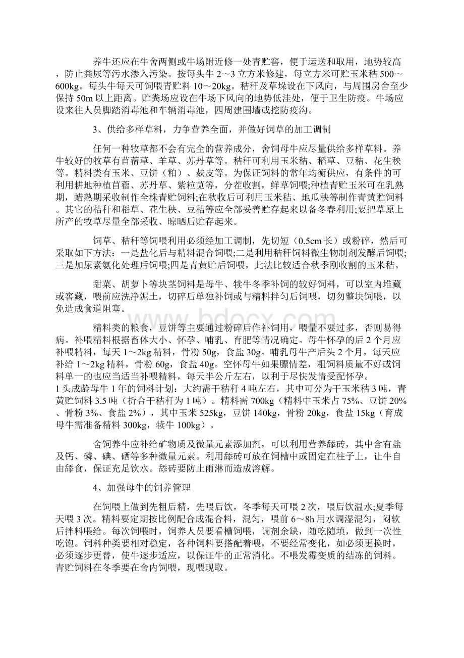 基础母牛饲养技术要点Word格式文档下载.docx_第2页