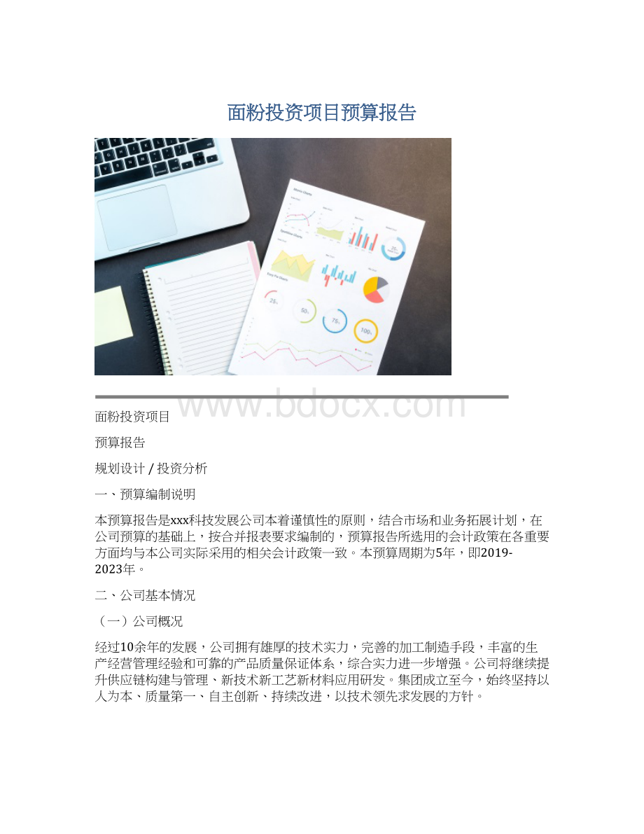 面粉投资项目预算报告.docx