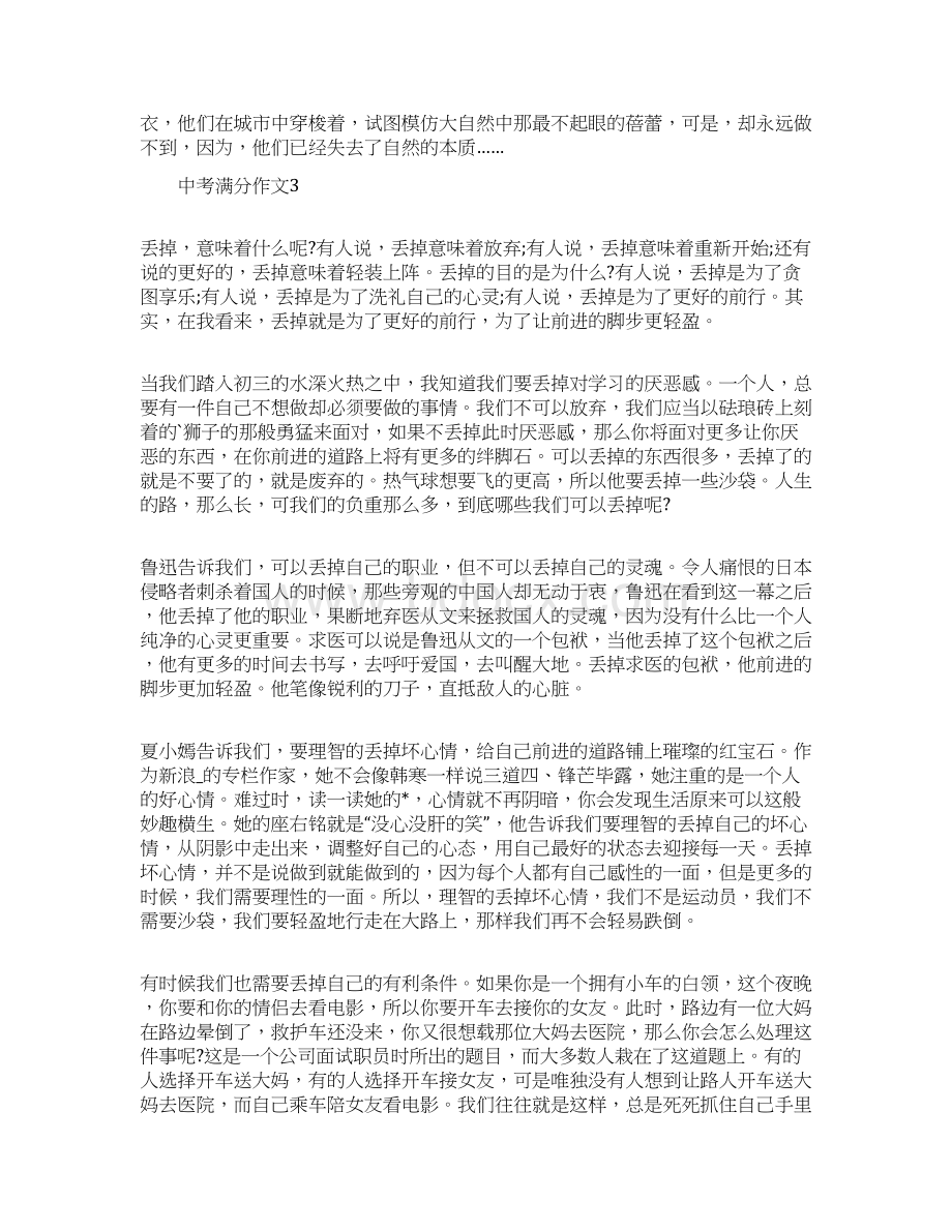 中考阅卷中的满分作文Word文档下载推荐.docx_第3页