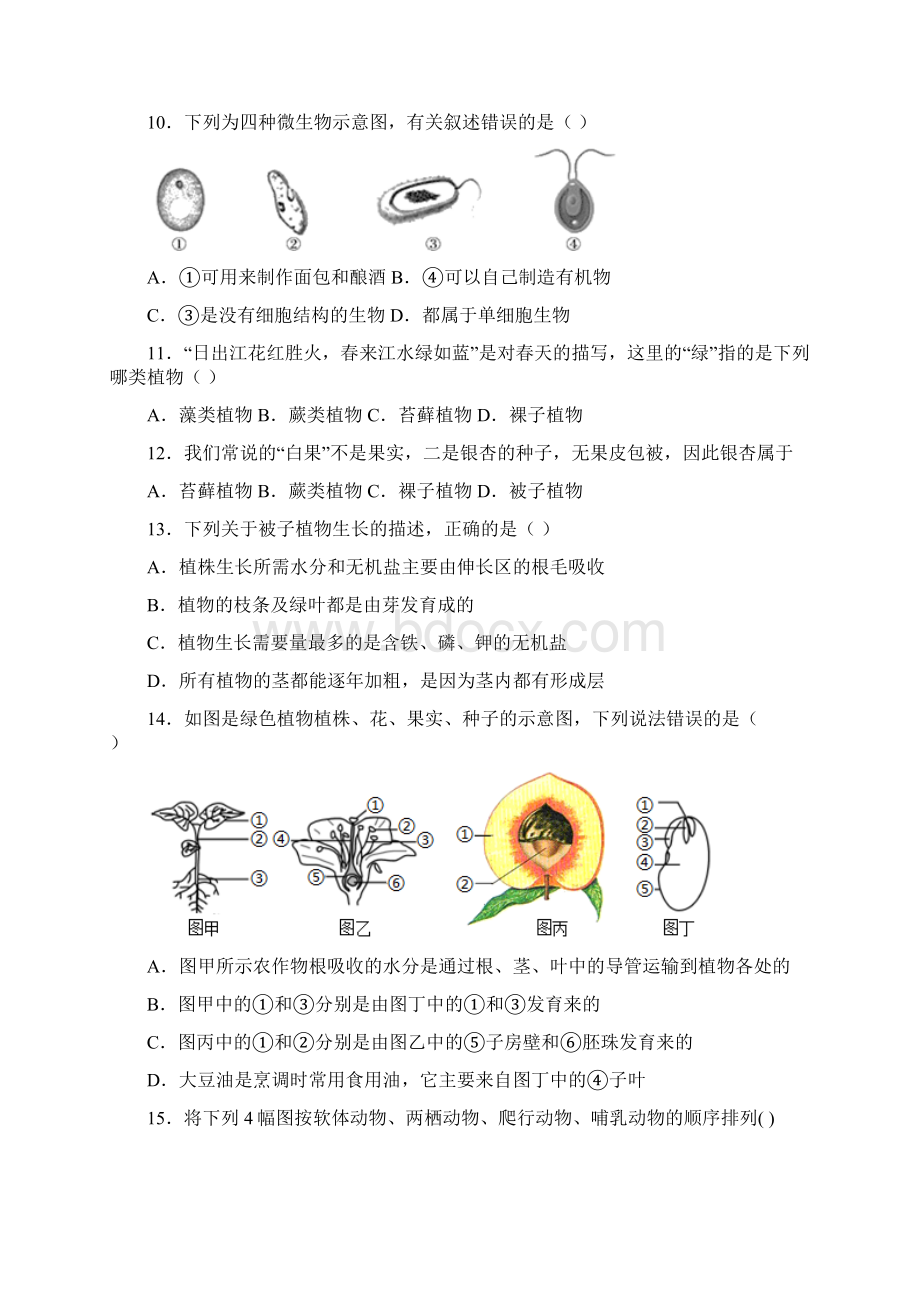 市级联考江西省丰城市届九年级上学期期中考试生物试题文档格式.docx_第3页