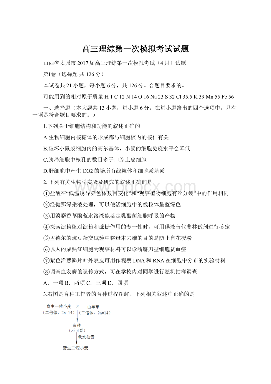 高三理综第一次模拟考试试题Word格式文档下载.docx_第1页