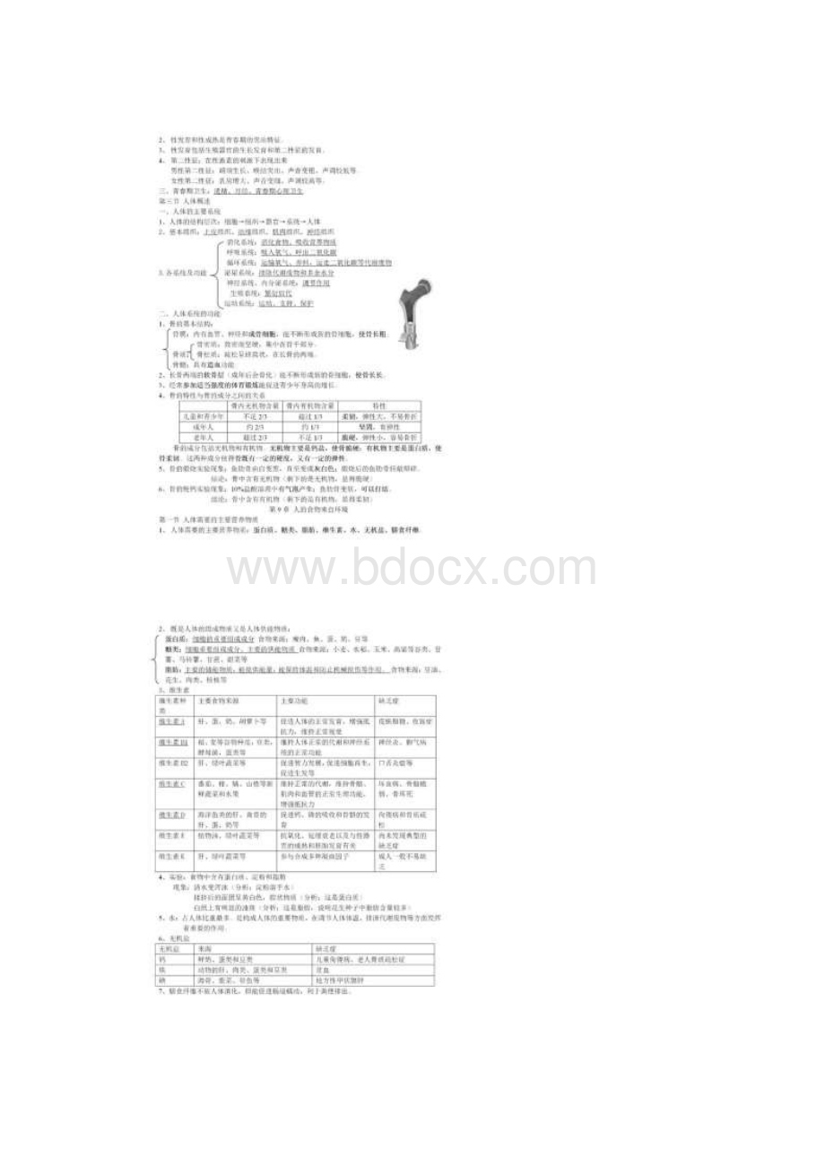 苏教版初中生物七年级下册知识点总结10页.docx_第2页