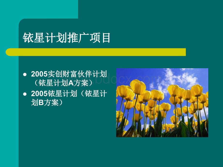 铱星计划市场推广方案1.ppt_第2页