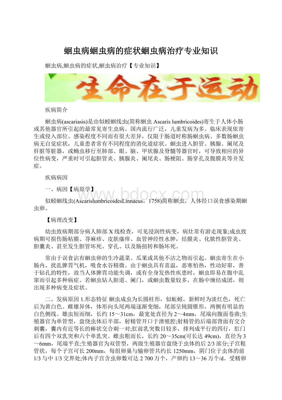 蛔虫病蛔虫病的症状蛔虫病治疗专业知识Word格式.docx_第1页