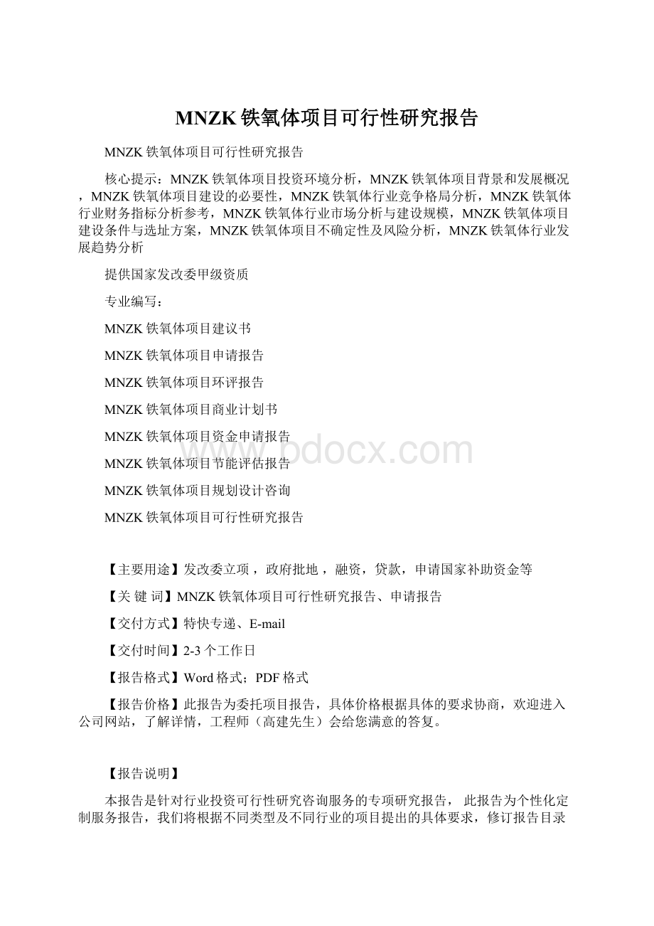 MNZK铁氧体项目可行性研究报告Word文档下载推荐.docx