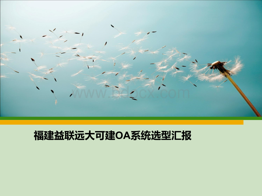 益联远大集团OA系统选型汇报1PPT文档格式.ppt