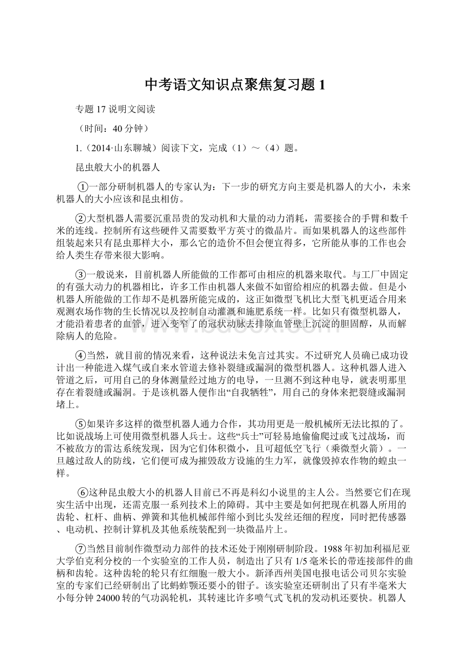 中考语文知识点聚焦复习题1.docx