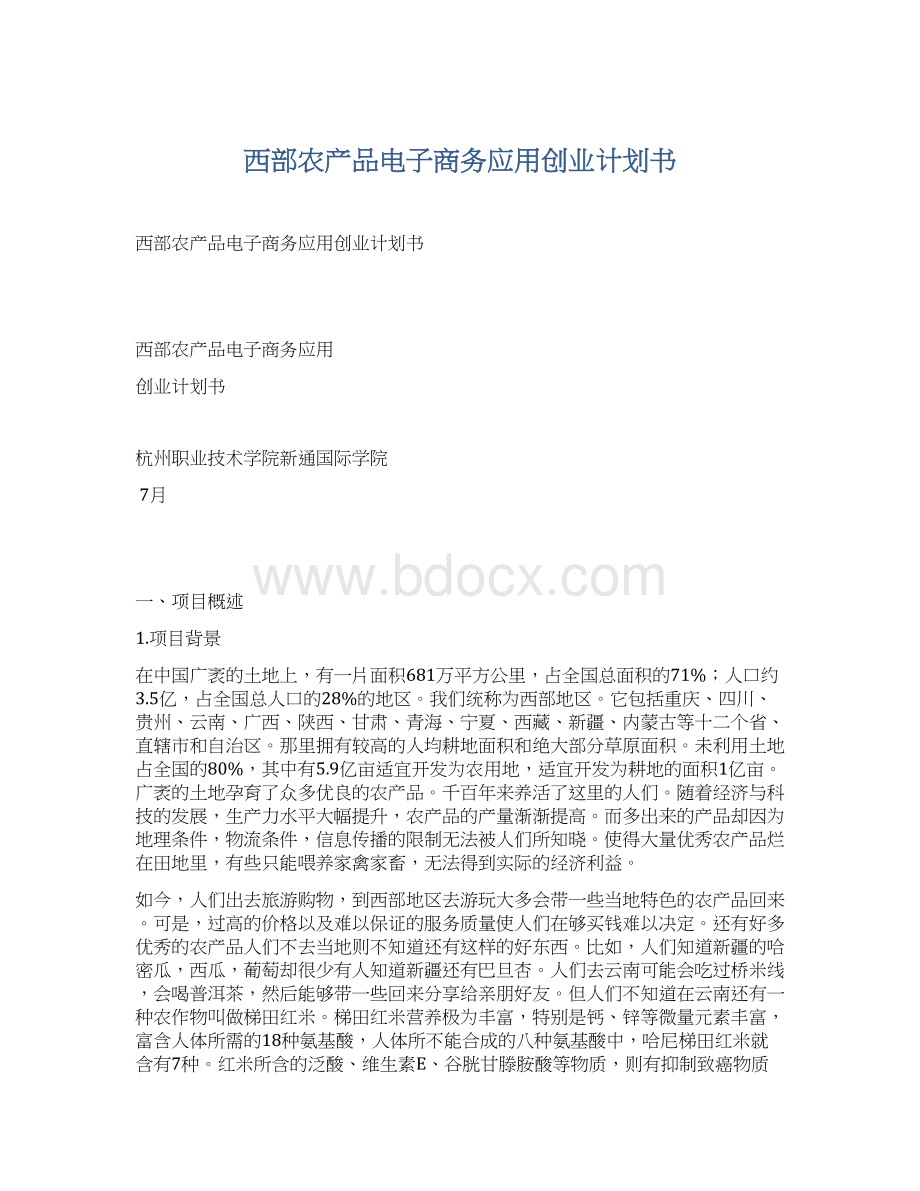 西部农产品电子商务应用创业计划书Word格式文档下载.docx