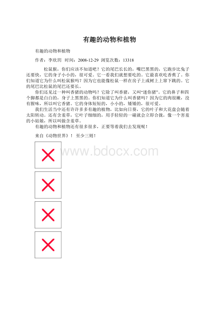 有趣的动物和植物Word文档格式.docx_第1页