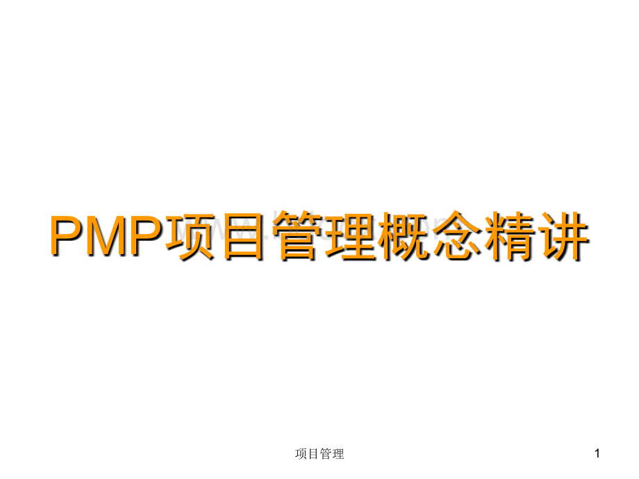 PMP项目管理概念精讲PPT文档格式.ppt