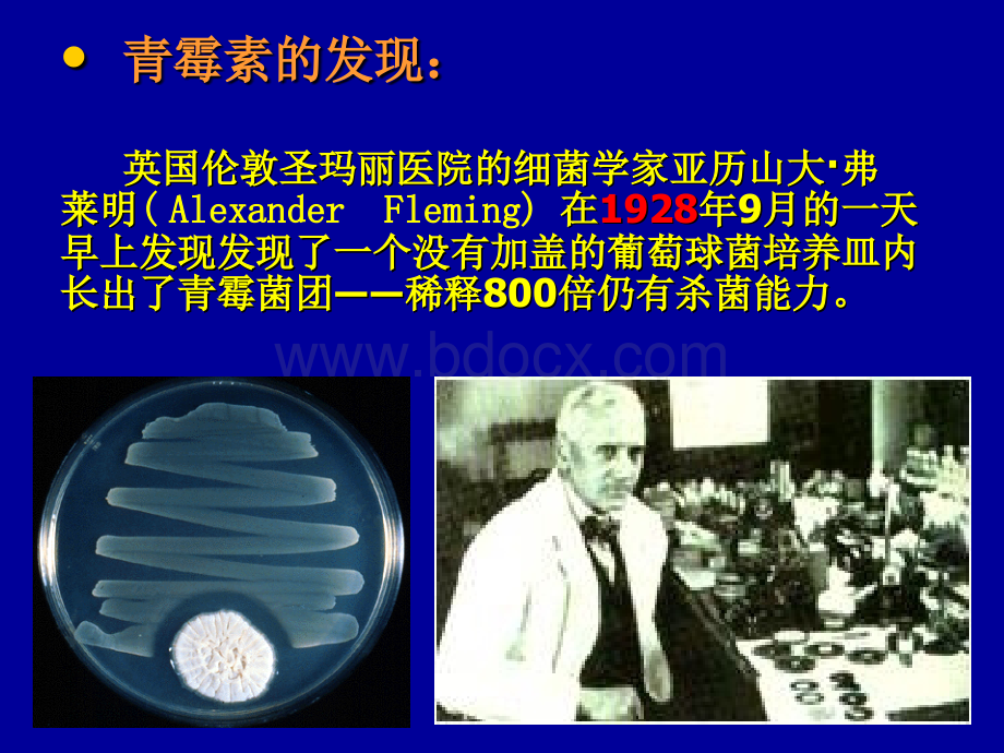 青霉素G头孢菌素类及其它β-内酰胺类抗生素--14-2-2_精品文档PPT文档格式.ppt_第2页