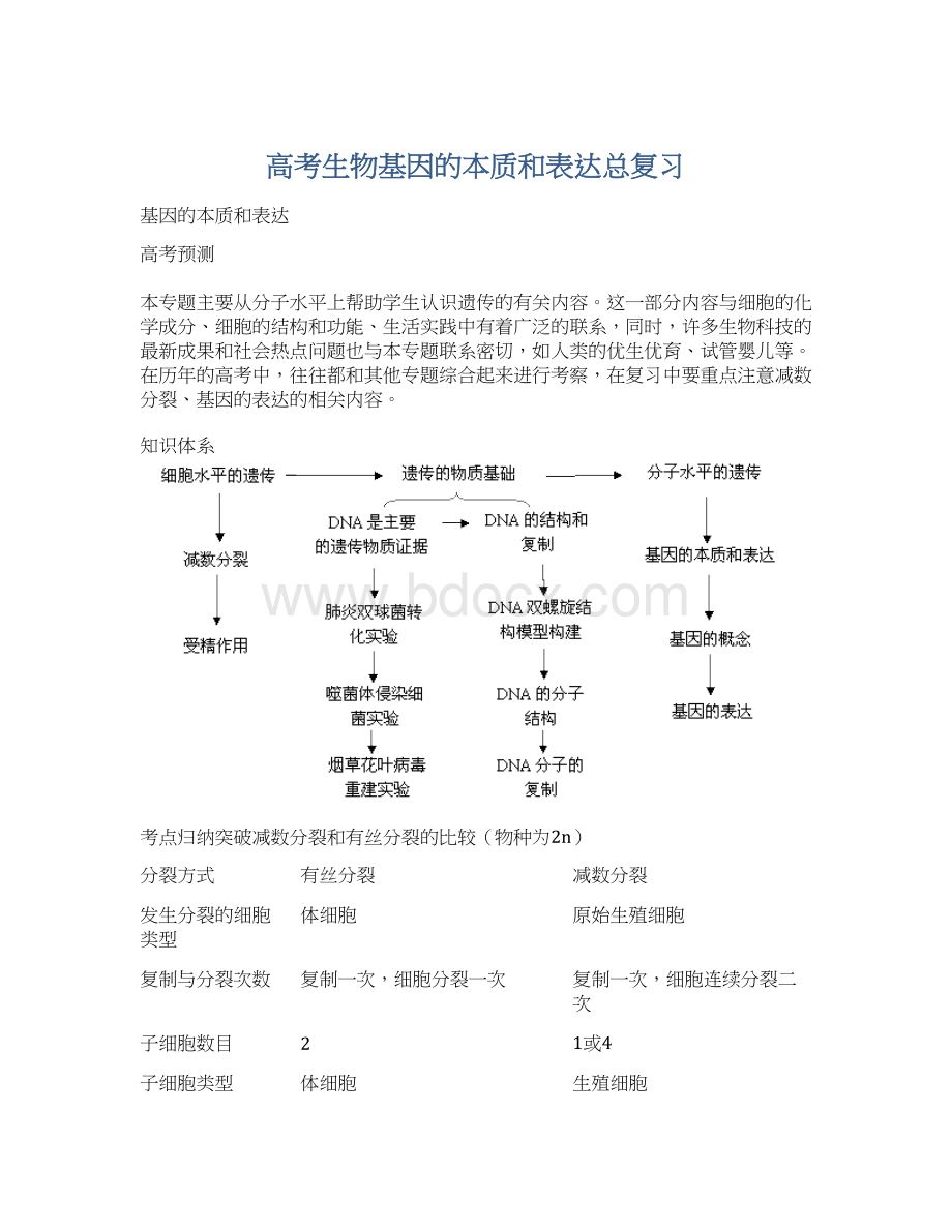 高考生物基因的本质和表达总复习Word格式.docx_第1页