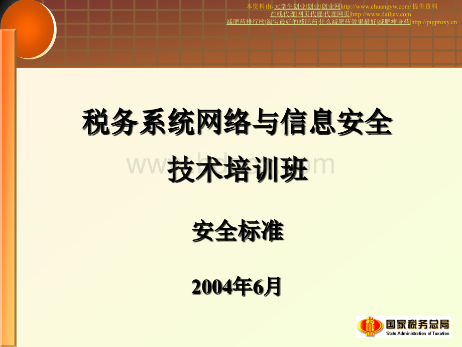 税务系统网络与信息安全安全标准.ppt