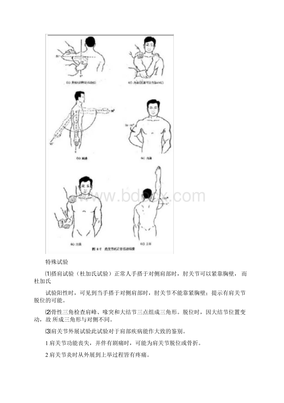 上肢肩部的体格检查.docx_第3页