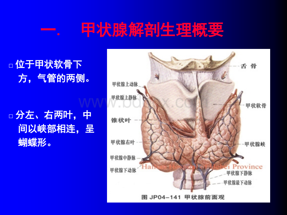 颈部疾病护理_精品文档.ppt_第2页