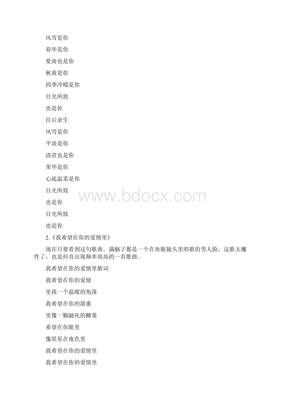 抖音最火的十首中文歌曲及歌词Word格式文档下载.docx_第2页