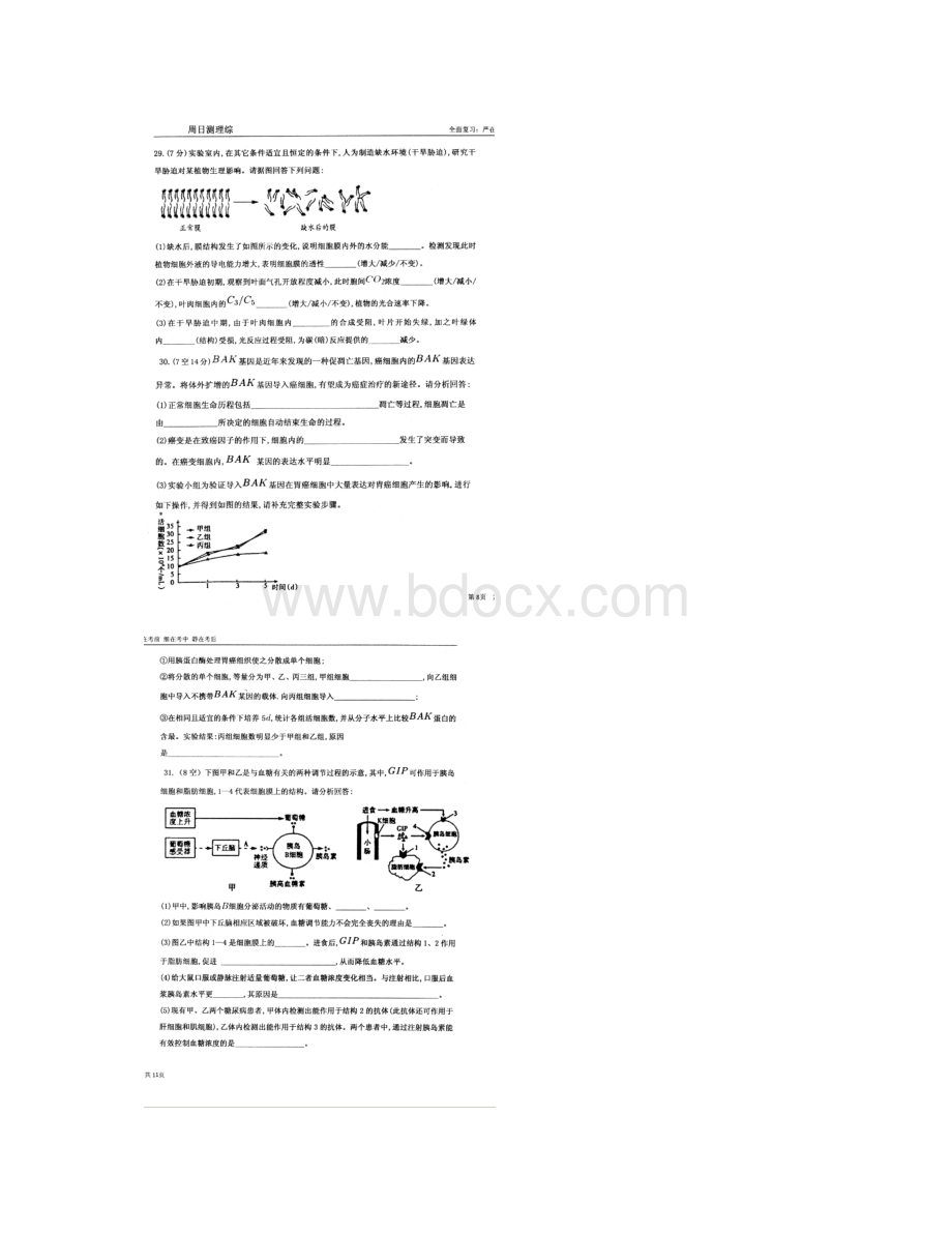 河北省衡水中学届高三下学期第四周周测理科综合生物试题Word文档格式.docx_第3页