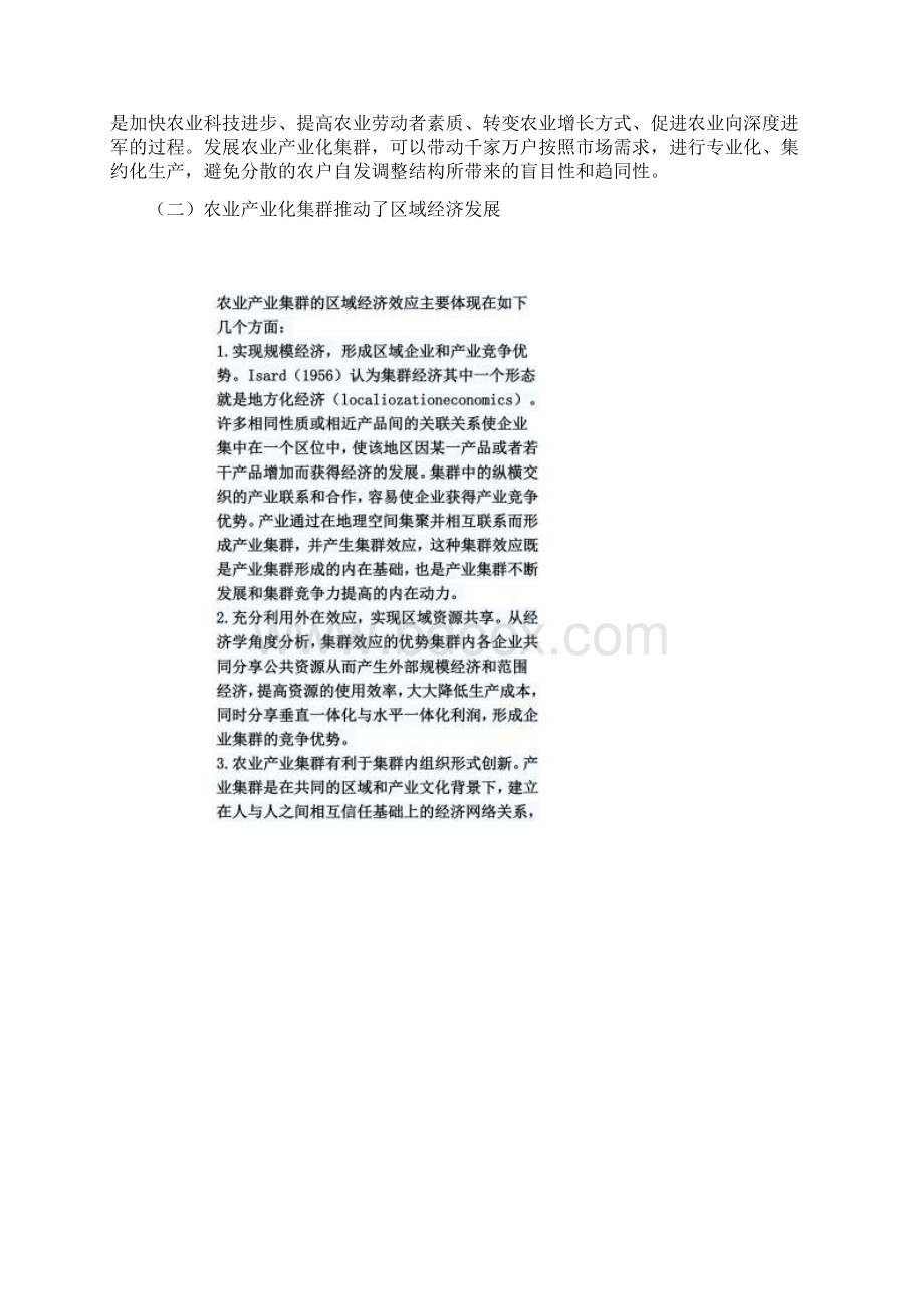 农业产业化集群发展模式文档格式.docx_第2页