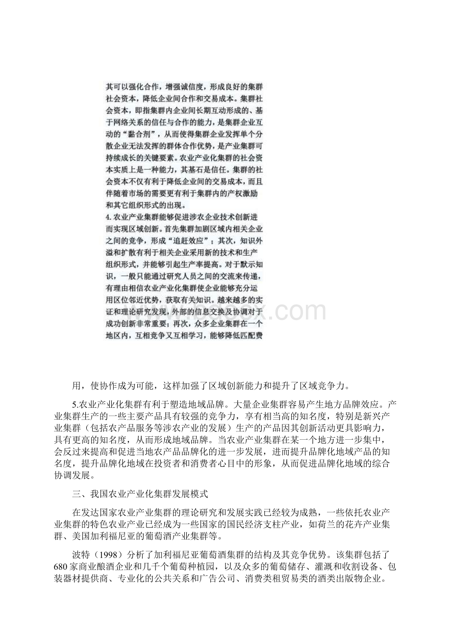 农业产业化集群发展模式文档格式.docx_第3页