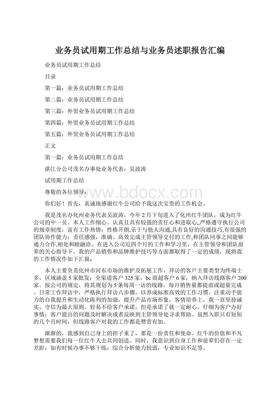 业务员试用期工作总结与业务员述职报告汇编Word文件下载.docx