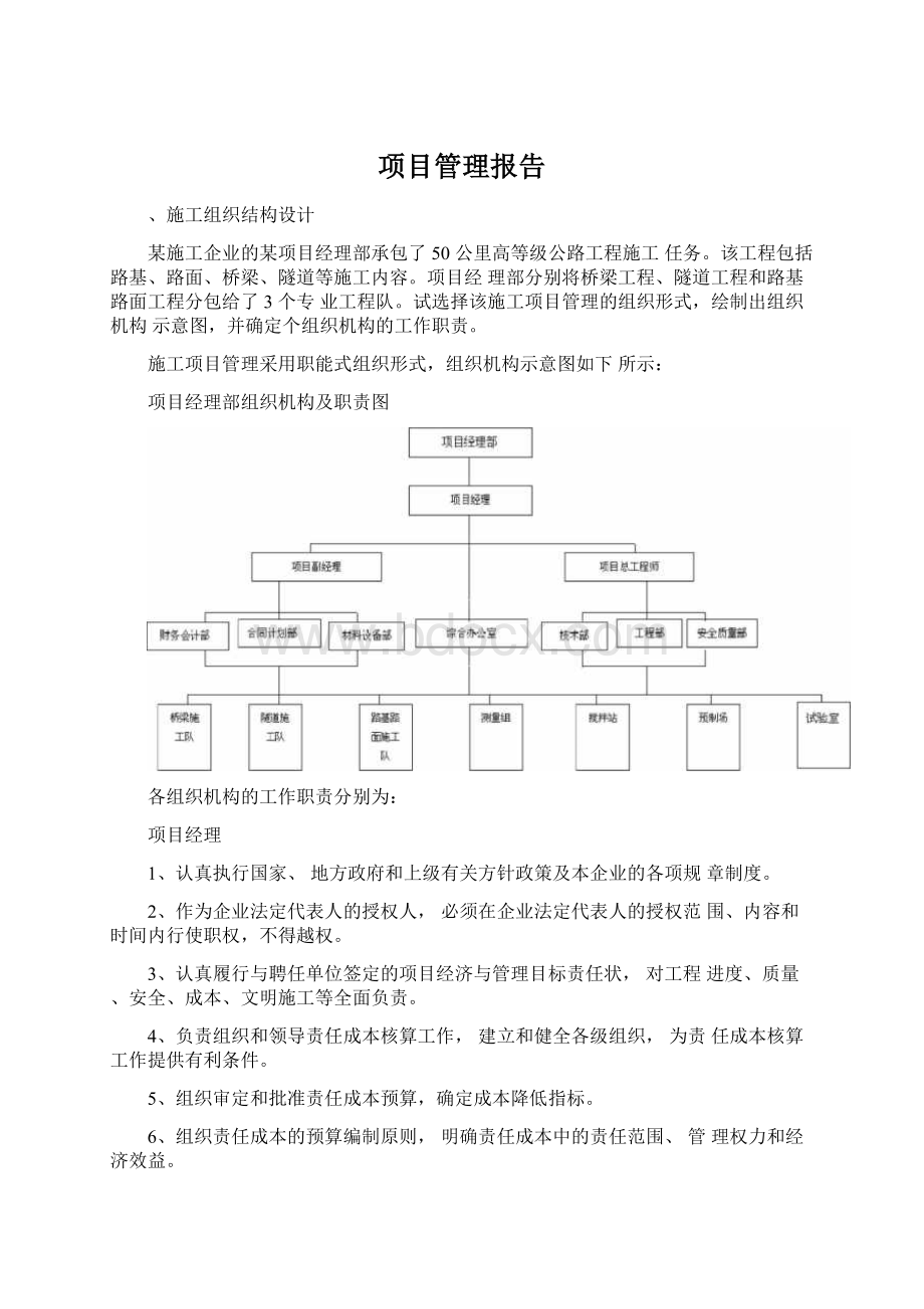 项目管理报告文档格式.docx_第1页