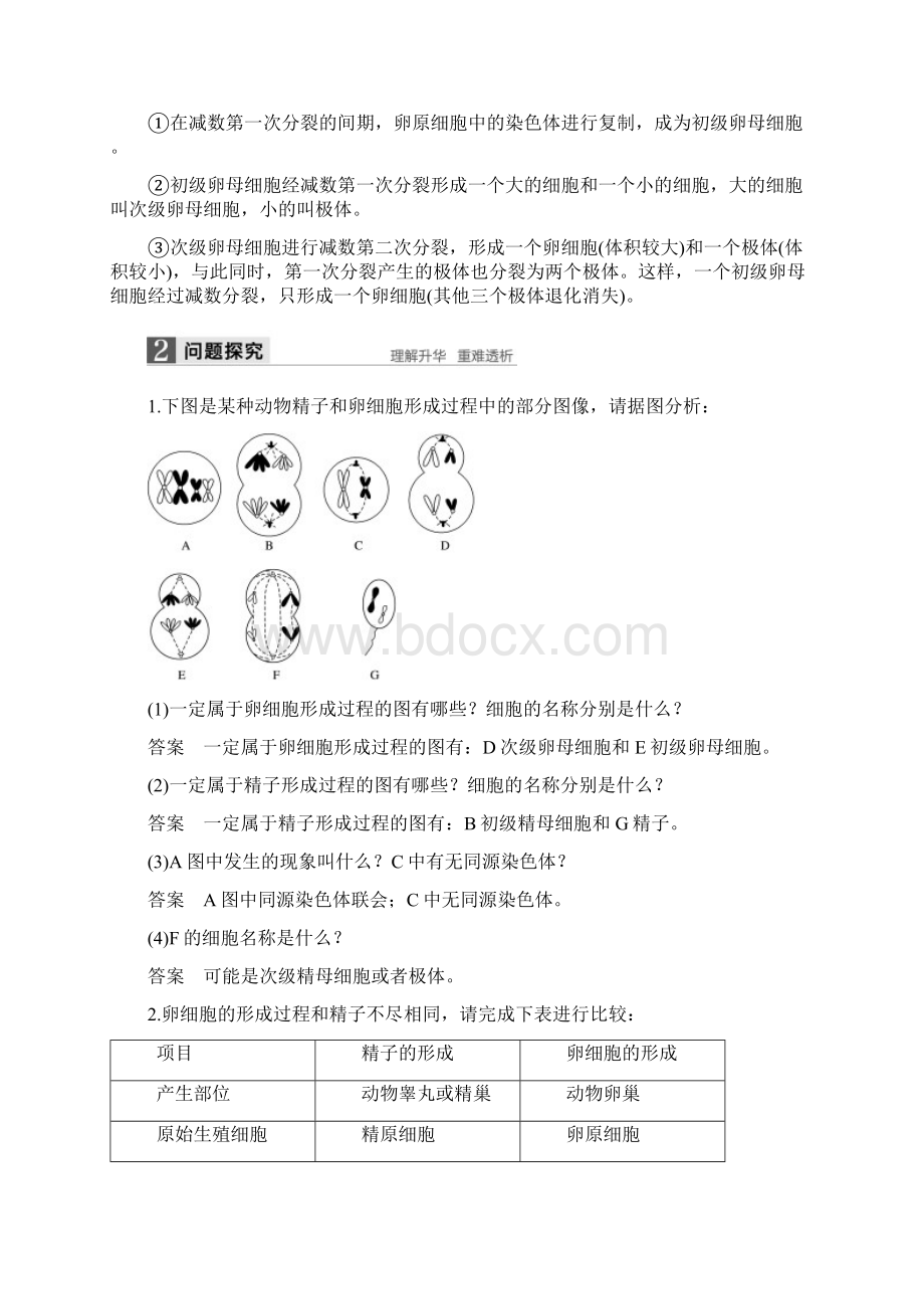 版高中生物第二章减数分裂和有性生殖第一节减数分裂第2课时教学案苏教版必修2Word格式.docx_第3页